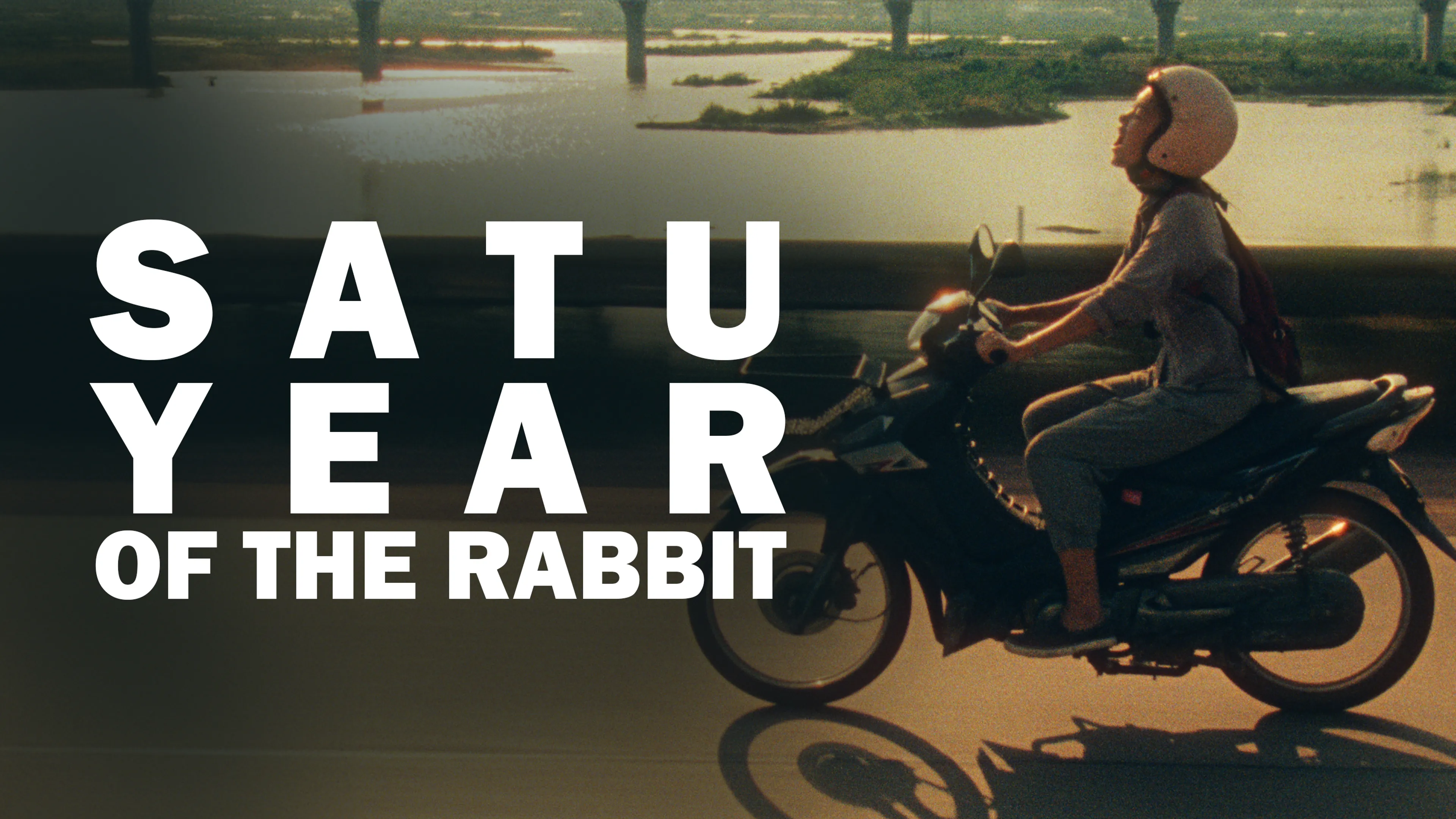 Satu: Year of the Rabbit poster